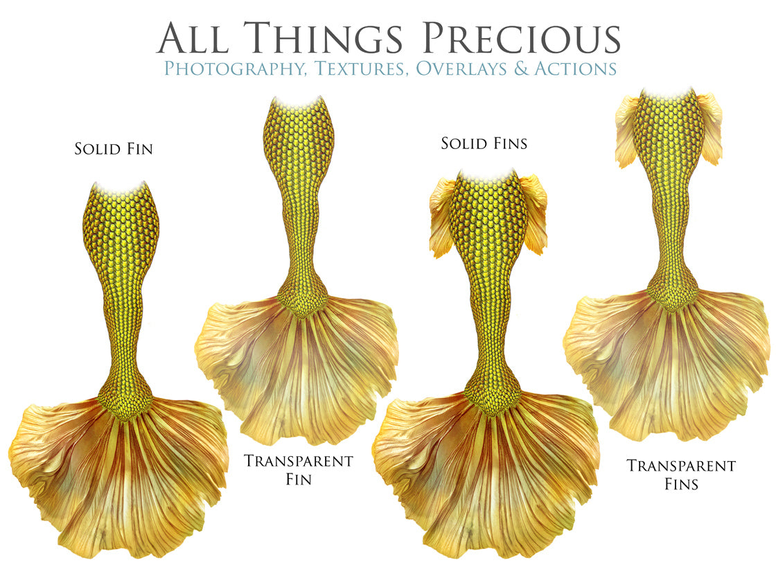 MERMAID TAILS Set 6 - Digital Overlays